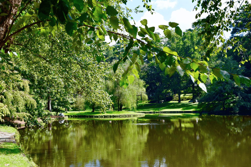 Duck Pond - Peachtree Heights East