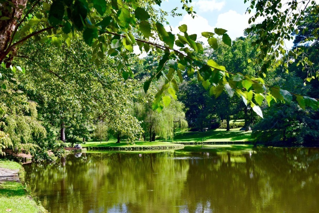 Peachtree-Heights-East-Duck-Pond-DuckPond-Buckhead-Neighborhood-Atlanta-GA
