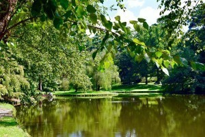 Peachtree-Heights-East-Duck-Pond-DuckPond-Buckhead-Neighborhood-Atlanta-GA