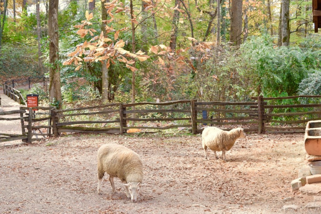 Atlanta-History-Center-Buckhead-Atlanta