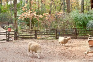Atlanta-History-Center-Buckhead-Atlanta