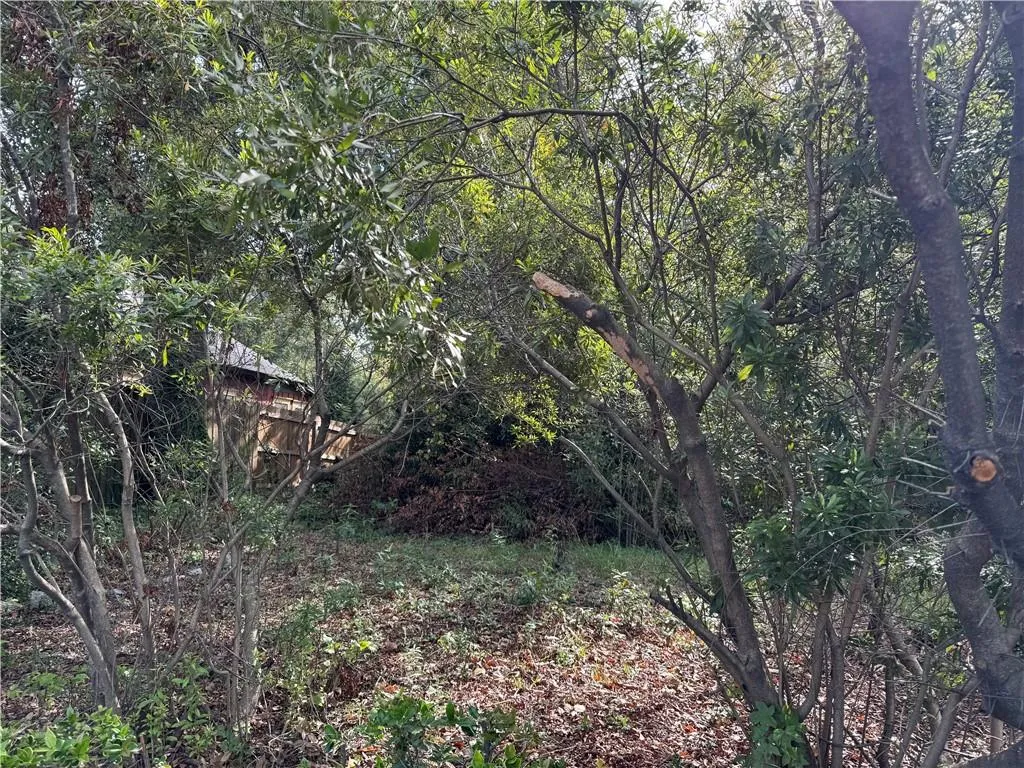 1783 Bolton Road Nw, Atlanta, Georgia 30318, ,Land,For Sale,1783 Bolton Road Nw,7669700