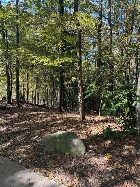 18 W Wesley Ridge, Atlanta, Georgia 30327, ,Land,For Sale,18 W Wesley Ridge,7677587
