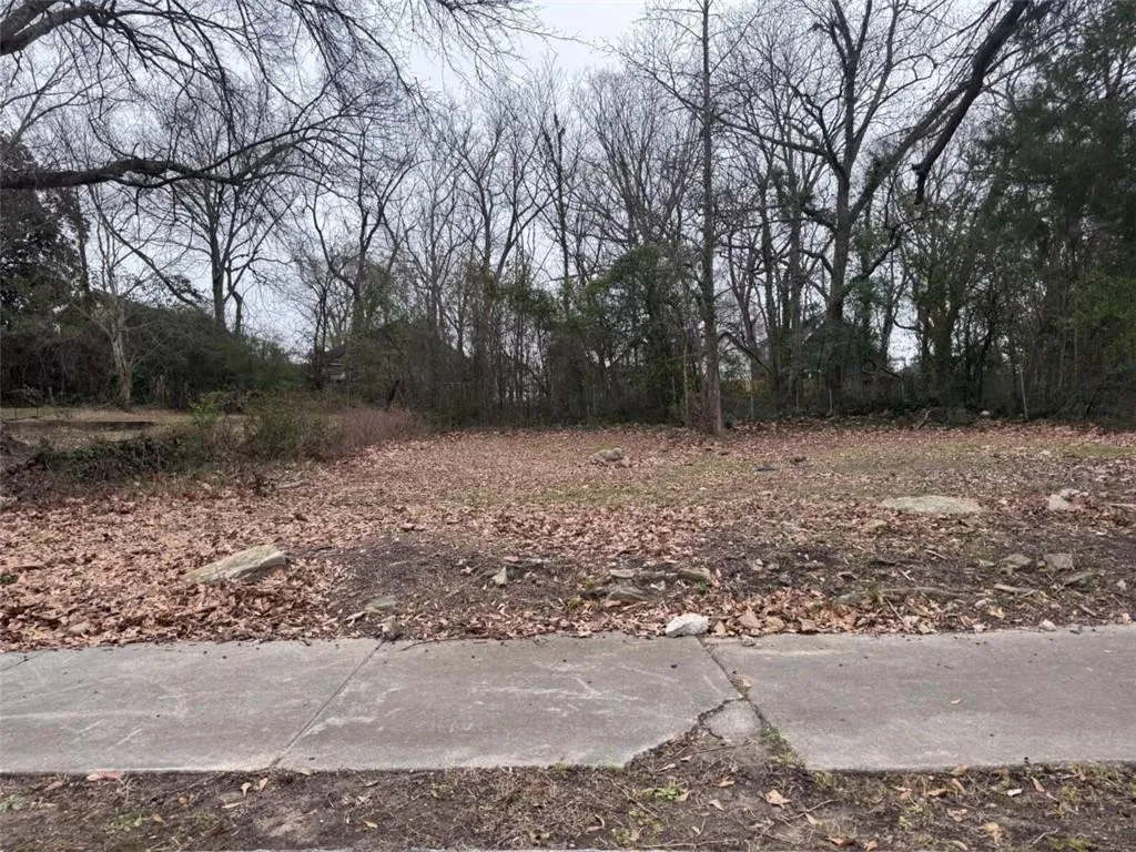 521 Paines Avenue, Atlanta, Georgia 30318, 0 ,Land,For Sale,521 Paines Avenue,7709214