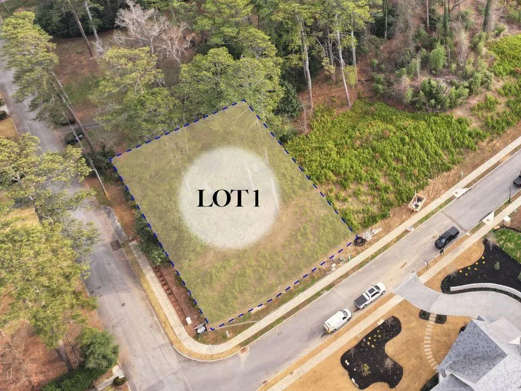 462 Emily Reed Lane, Atlanta, Georgia 30342, 0 ,Land,For Sale,462 Emily Reed Lane,7793766