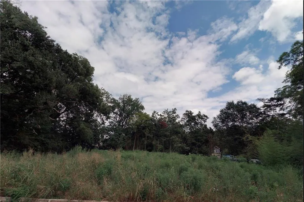 639 Finley Avenue Nw, Atlanta, Georgia 30318, 0 ,Land,For Sale,639 Finley Avenue Nw,7818265